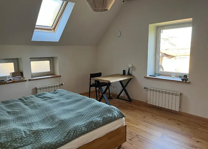 The Cave ヴィリニュス